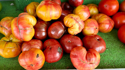 Buying produce at the local farmers market in Delaware - exploring the bounty of the end of the summer season