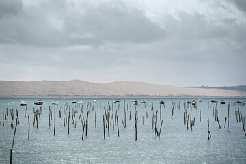 Oyster farm in Arcachon Bay, France.