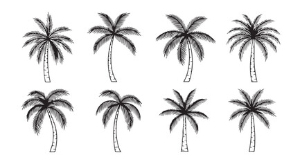 Collection of eight detailed palm tree silhouettes in black and white
