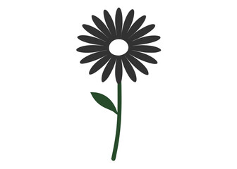  Chamomile flower icon line airt vactor outline Illustrations on white background.