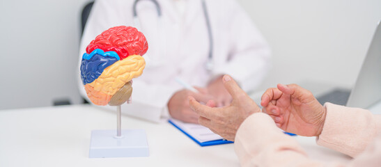 Elderly Patient consulting Doctor to Brain disease, Senior Health Medical Diagnosis. Anatomy Brain model for Explanation, Brain Tumor, neurological disorders, Dementia, alzheimer, parkinson and Mental