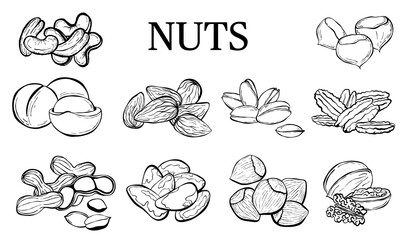 Hand drawn sketch nuts set.  Nuts vector illustrations isolated on white background.