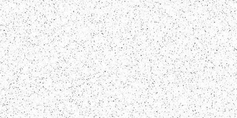 Obraz premium Terrazzo flooring texture polished stone and grain noise pattern old surface marble for background. white and black paper and marble texture. quartz surface for bathroom or kitchen countertop.