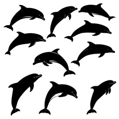 Black silhouette dolphins leaping