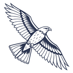 Illustration of a majestic hawk in flight with detailed wing feathers and a sharp beak in a vector format