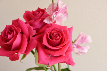 薔薇とスイートピー