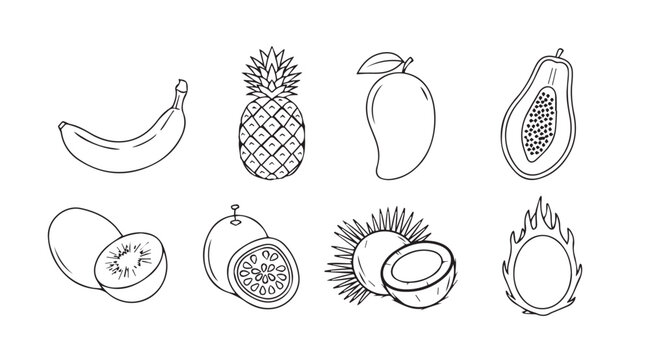 Collection of tropical fruits illustrated in a distinctive silhouette style