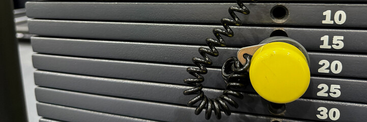 Curled exuberance meets steely determination in this gym weight stack, evoking National Fitness Day...