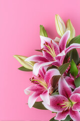 Fototapeta premium Elegant pink lilies bloom against a soft pink backdrop, showcasing delicate petals and vibrant green leaves. A floral symphony of color.