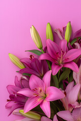 Naklejka premium Elegant pink lilies and buds against a matching pink backdrop. A soft and romantic floral arrangement creates a sense of feminine beauty.