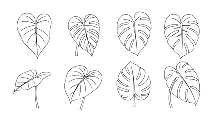 Collection of eight distinctive tropical leaf silhouettes in sketchy outline style