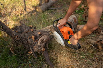 Individual uses a chainsaw to cut a log in a forest setting. Sunlight filters through the trees, highlighting the effort in maintaining the wood.