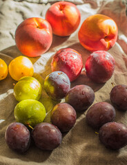 Ripe, Bright Peaches and Plums on the Table