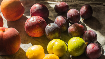 Ripe, Bright Peaches and Plums on the Table