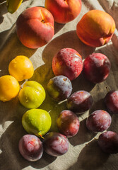 Ripe, Bright Peaches and Plums on the Table