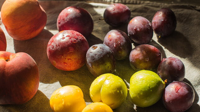 Ripe, Bright Peaches and Plums on the Table