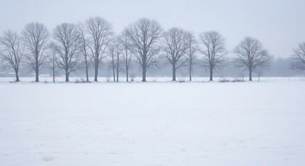 Obraz premium Tranquil Winter Landscape with Bare Trees in Snowy Environment