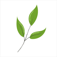 Eco-Friendly Green Leaf Icon, logo illustration.