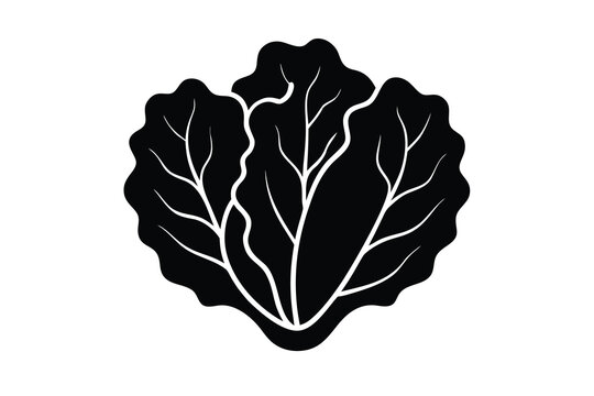 lettuce icon silhouette vector illustration