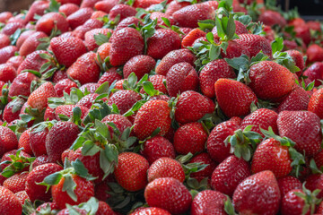 Fresh Strawberries at the Market. A Colorful Display of Ripe Strawberries Inviting You to Taste the Sweetness of Summer. The Joy of Harvesting Fresh Strawberries from Local Farms.