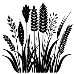 wheat ears vector