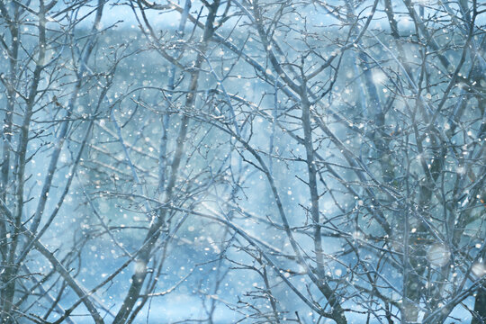 Fototapeta falling snow, Photography abstract blurred background, winter backdrop