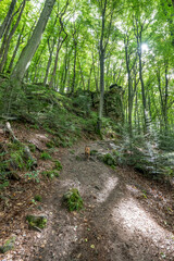 Beautiful green forest Hiking path with Sandstone chalk rock formations in Berdorf Mullerthal Luxembourg