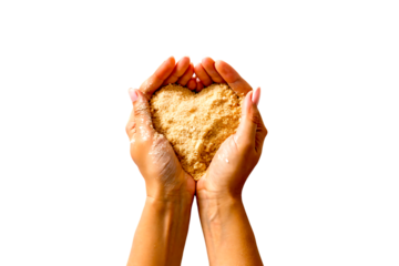 Hands holding heart shaped sand isolated on transparent background, love concept