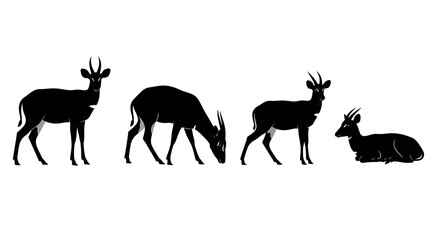 Naklejka premium Silhouettes of duikers in different positions isolated on white background