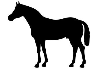 馬のシルエット