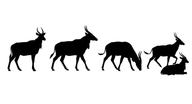 Silhouette of a group of topi antelopes isolated on white background