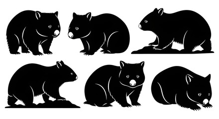 Silhouettes of wombats isolated on white background in various positions