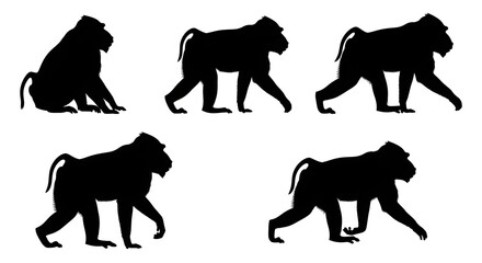 Silhouettes of baboons in various poses isolated on white background