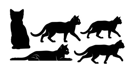Silhouettes of cats in various poses isolated on white background