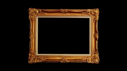 baroque. Ornate golden frame on dark velvet, showcasing intricate baroque details and luxurious texture. event programs, museum guides, designed for cultural heritage projects and event programs.