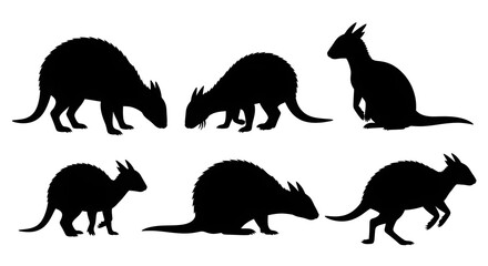 Obraz premium Silhouetted potoroos isolated on white background are seen in different poses