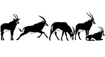 Silhouette of sable antelopes isolated on white background in various poses