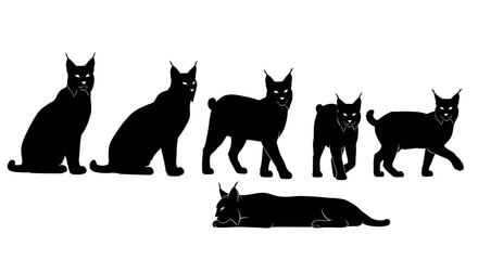 Silhouettes of various lynx cats in different poses isolated on white background