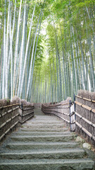 Vertical view of a empty road in the fabulous bamboo forest in Kyoto, Japan