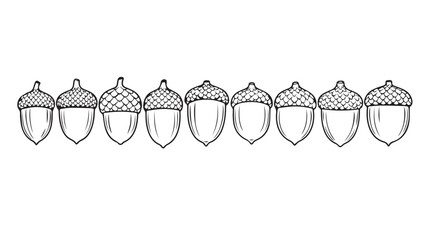 Row of detailed hand drawn acorn styles collection for autumn natural design elements silhouette © Pias