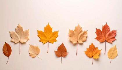 Colorful autumn leaves arranged in a line showcasing different shades and sizes on a neutral background