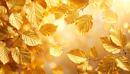 Golden autumn leaves illuminated by soft sunlight in a serene outdoor setting