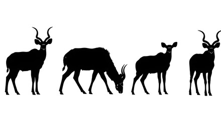 Naklejka premium Silhouette of a group of kudus isolated on white background