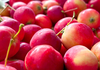 A close-up of bright red apples with smooth skins and branches lying in a dense scattering creates a feeling of freshness and juiciness of the harvest.