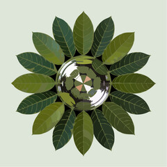 A symmetrical mandala of stylized green leaves encircling a reflective central sphere on a pale background
