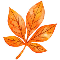 Watercolor Autumn Chestnut Leaf. Hand-painted watercolor illustration of a five-pointed autumn chestnut leaf in orange tones, isolated on white background.