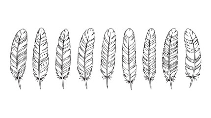 Set of hand drawn feathers with bohemian style designs for artistic projects silhouette