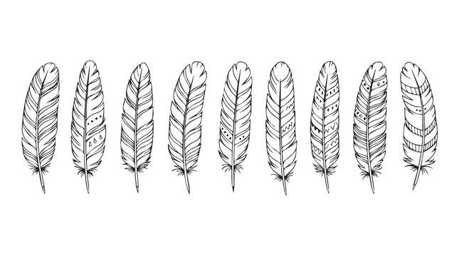 Set of hand drawn feathers with bohemian style designs for artistic projects silhouette
