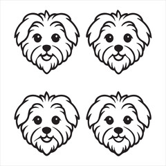 A Graceful and Elegant Maltese, a Classic Toy Breed Companion with a Silky Coat, a Pure White Lapdog Displaying Timeless Beauty and Charm