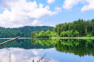 Fototapeta premium 道東 静寂の湖オンネトー 